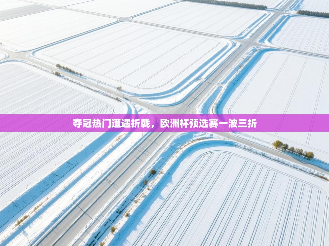 夺冠热门遭遇折戟,欧洲杯预选赛一波三折 第2张