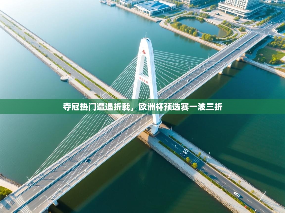 夺冠热门遭遇折戟,欧洲杯预选赛一波三折 第1张