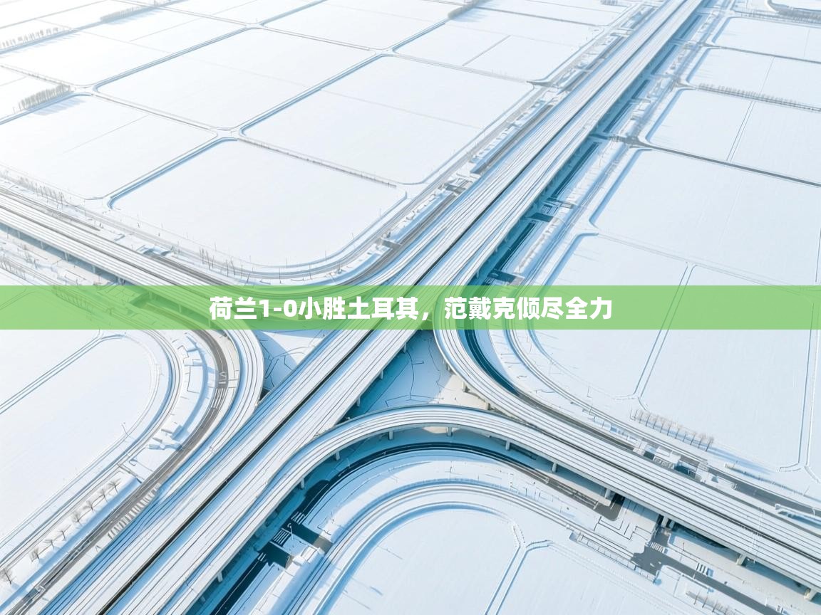 荷兰1-0小胜土耳其，范戴克倾尽全力  第2张