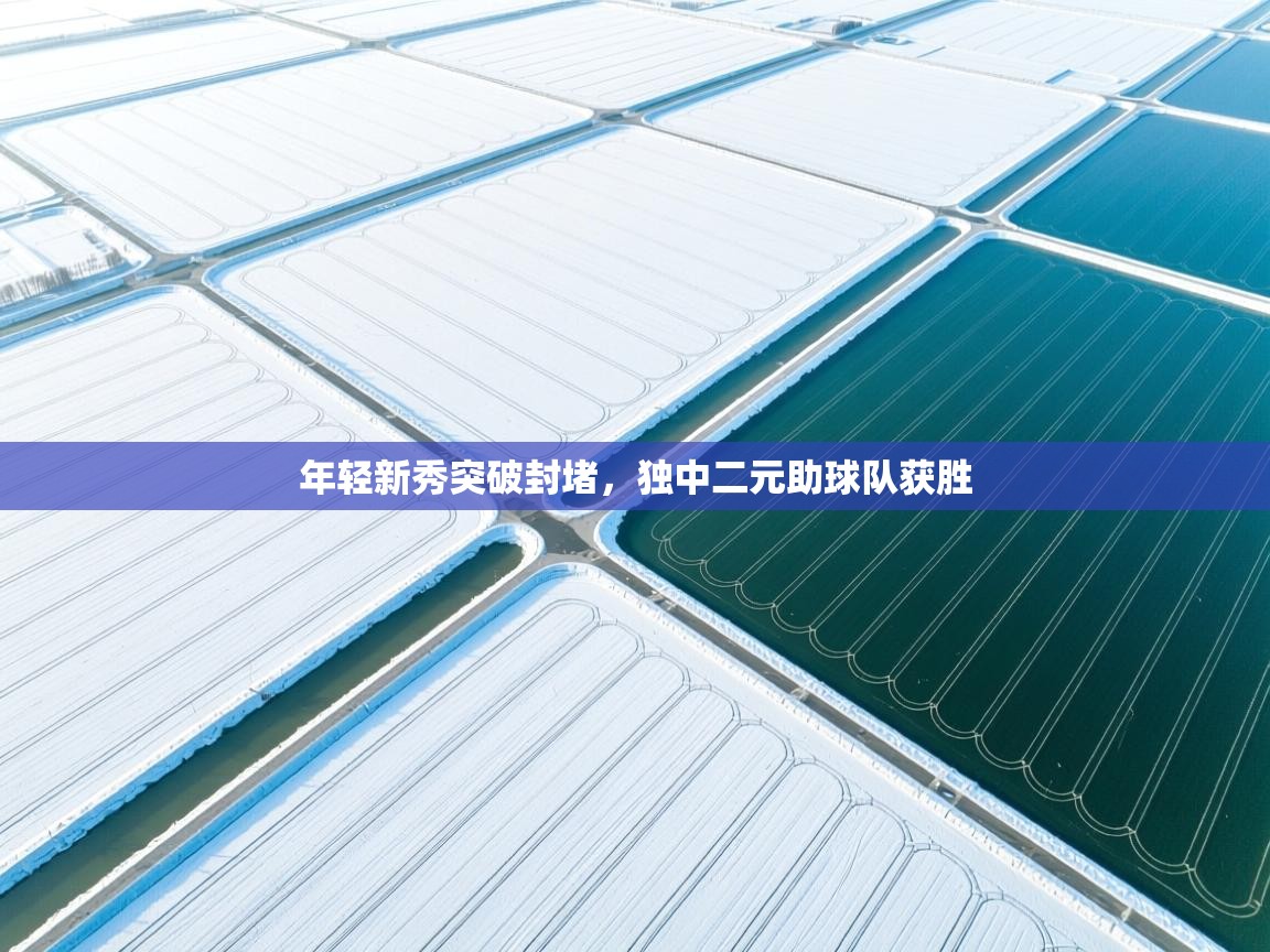 年轻新秀突破封堵，独中二元助球队获胜